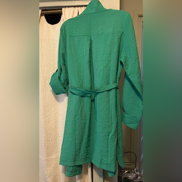 Classic Shirtdress - Kelly Clover Green NEW! Sz L 💚 - Picture 7 of 8
